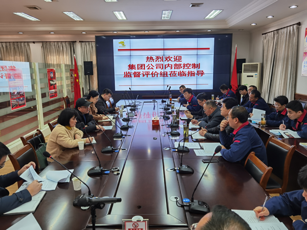 集團公司到公司開展內(nèi)控自評檢查工作