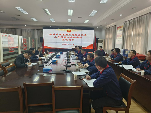 集團(tuán)公司到公司檢查“國(guó)企改革三年行動(dòng)” 集團(tuán)公司到公司檢查“國(guó)企改革三年行動(dòng)”